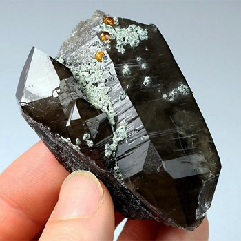 Использование мориона